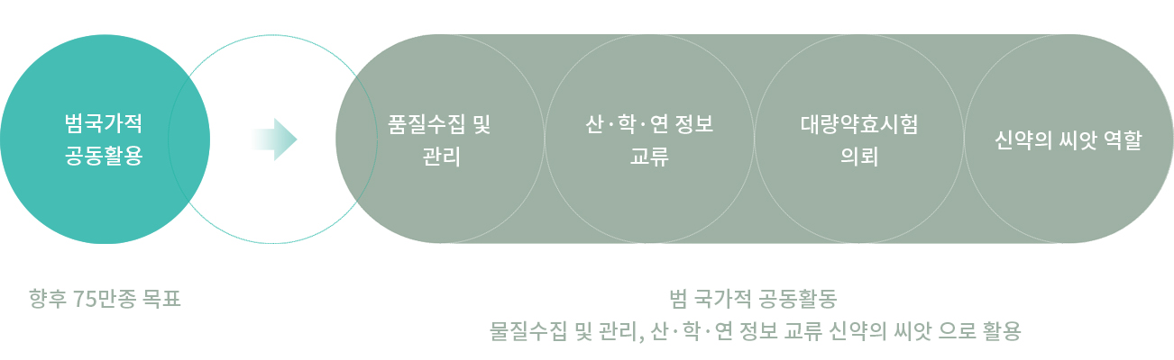 화합물 시스템 이미지