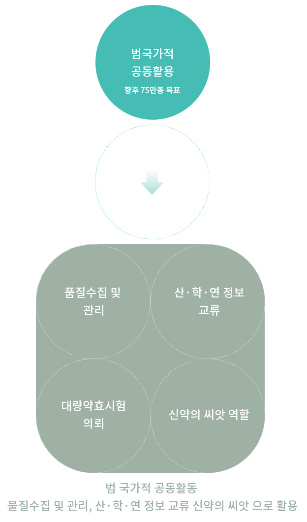 화합물 시스템 이미지