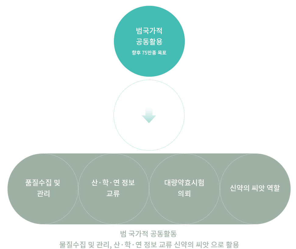 화합물 시스템 이미지